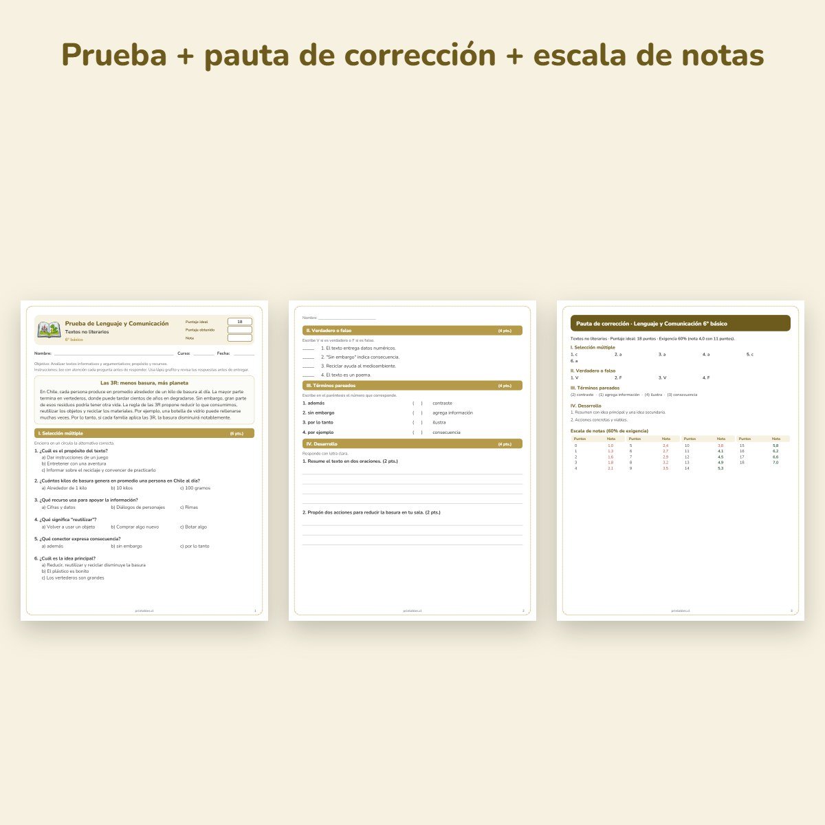 Páginas de muestra: Prueba de Lenguaje 6° básico: Textos no literarios