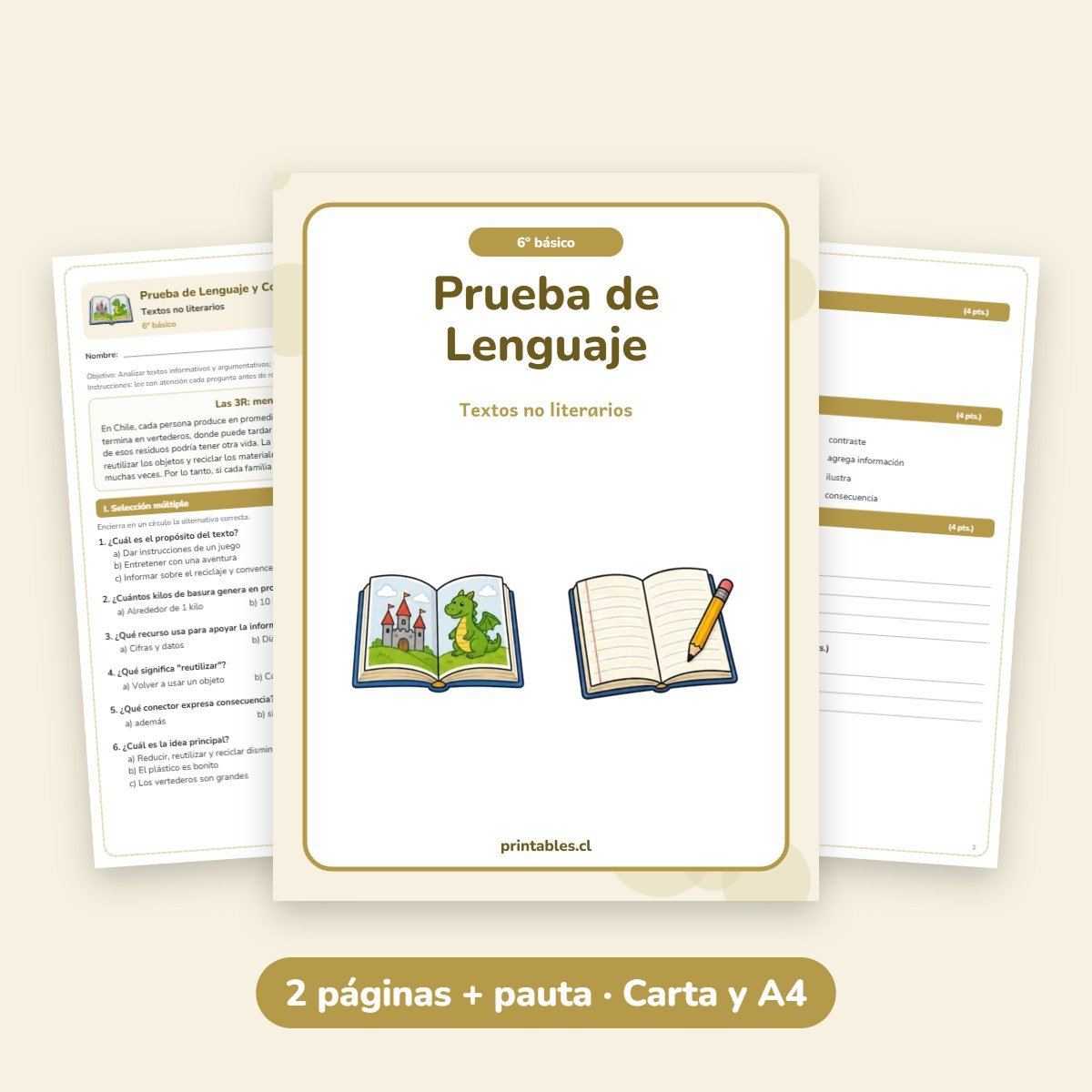 Prueba de Lenguaje 6° básico: Textos no literarios