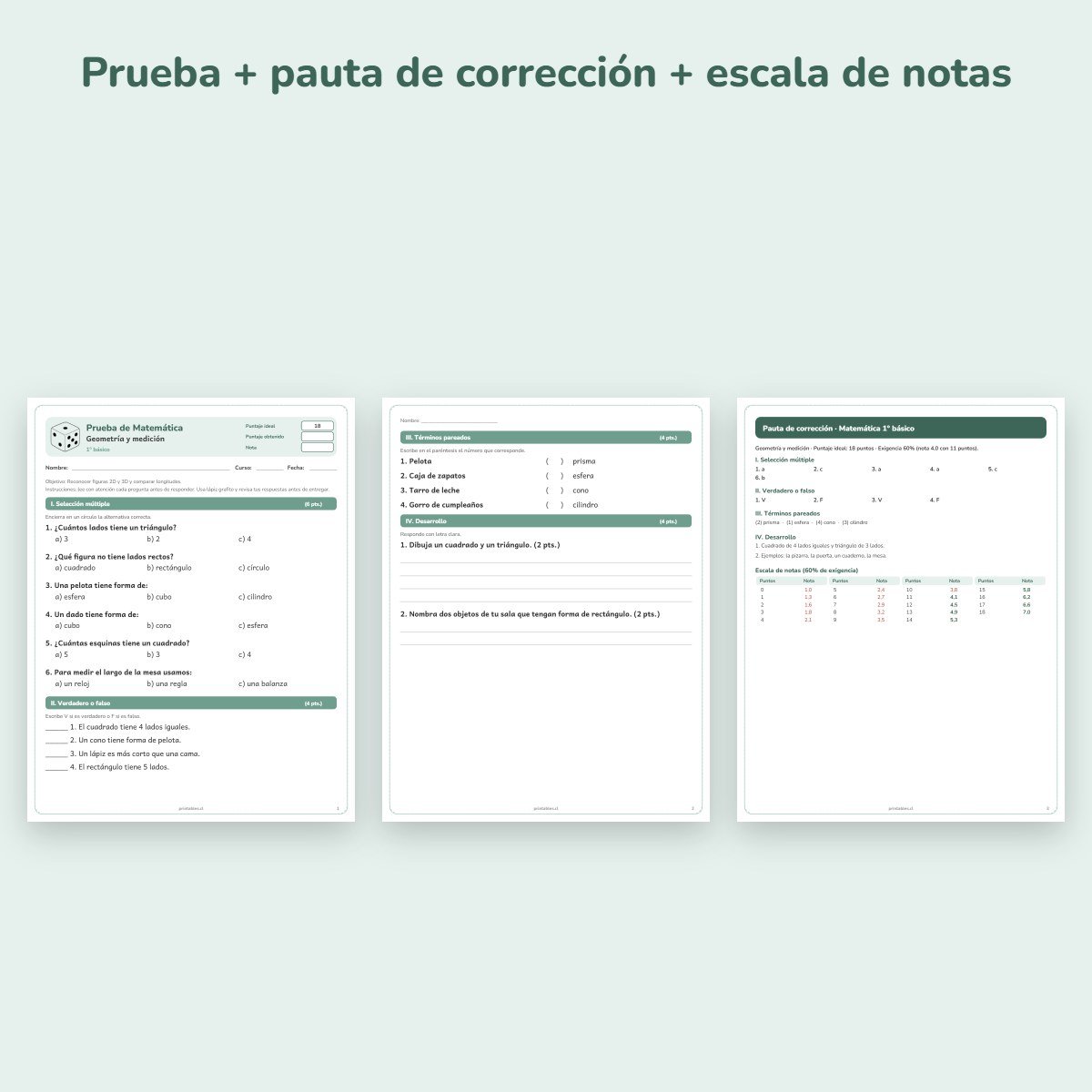 Páginas de muestra: Prueba de Matemática 1° básico: Geometría y medición