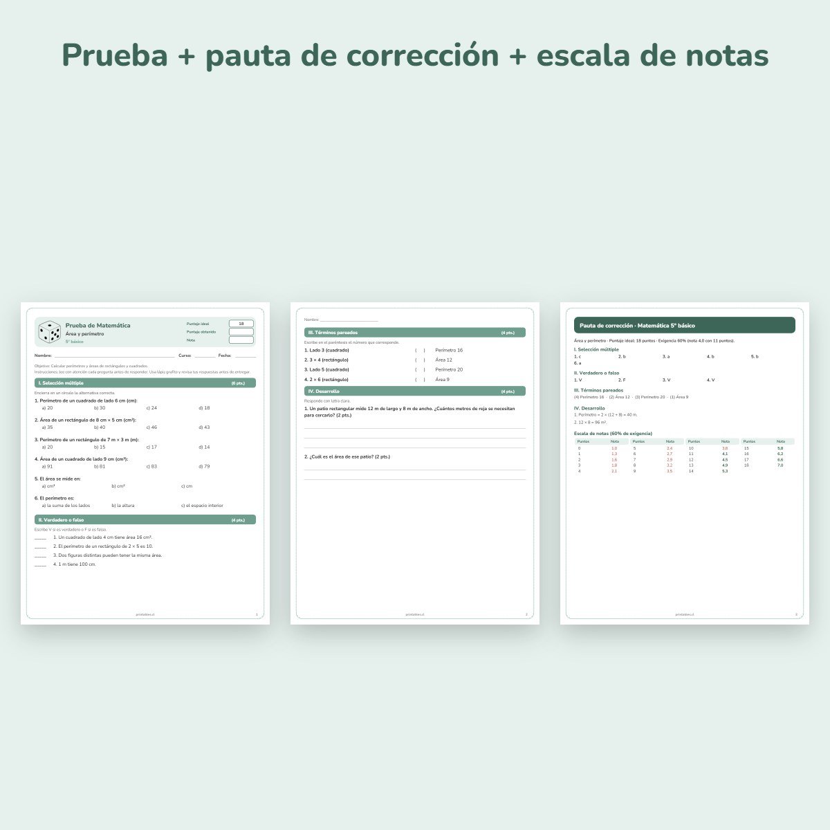 Páginas de muestra: Prueba de Matemática 5° básico: Área y perímetro
