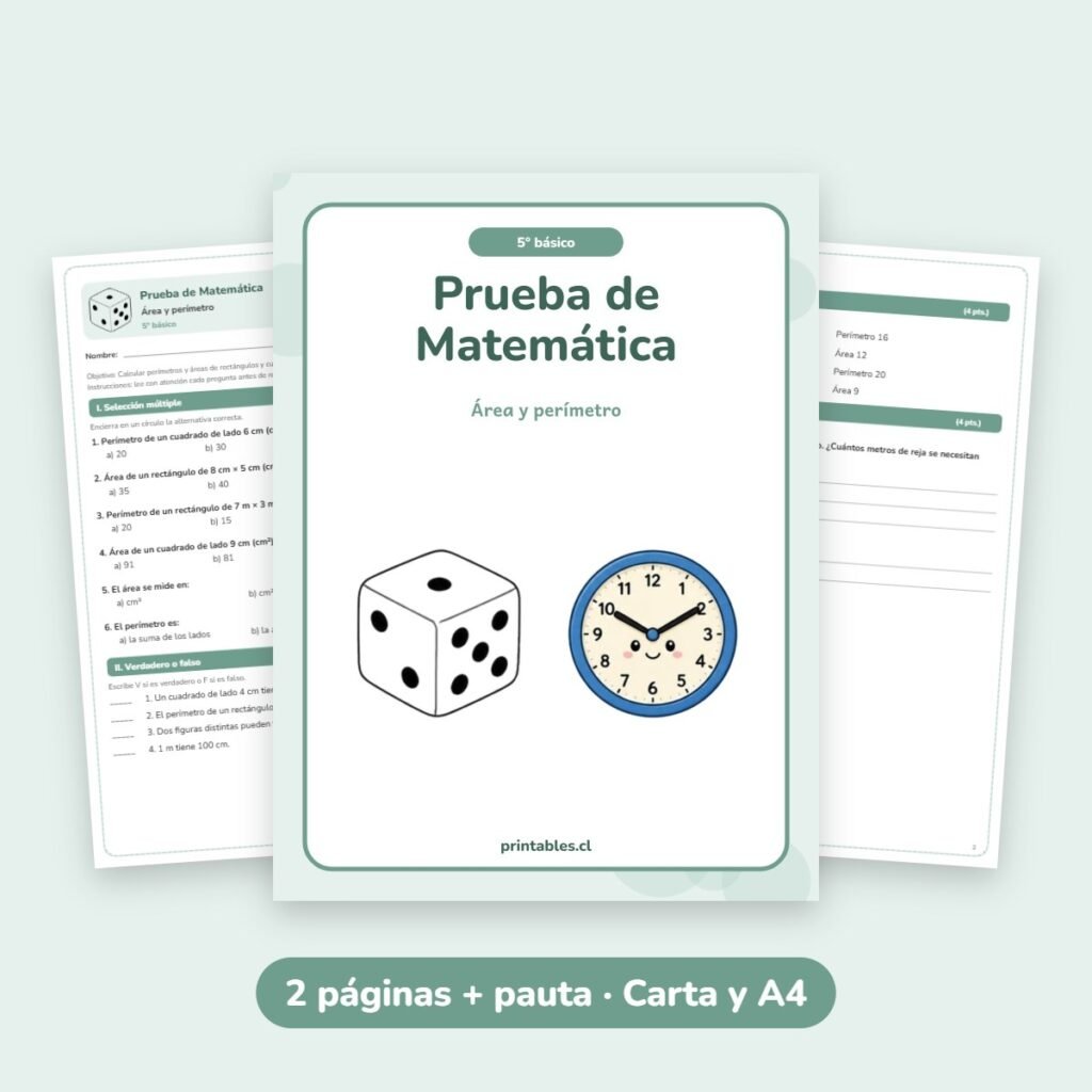 Prueba de Matemática 5° básico: Área y perímetro