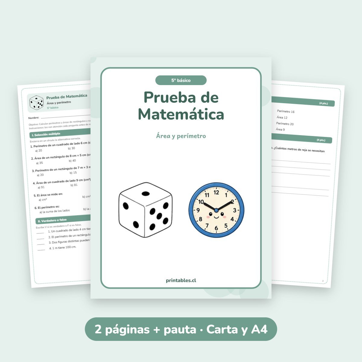 Prueba de Matemática 5° básico: Área y perímetro