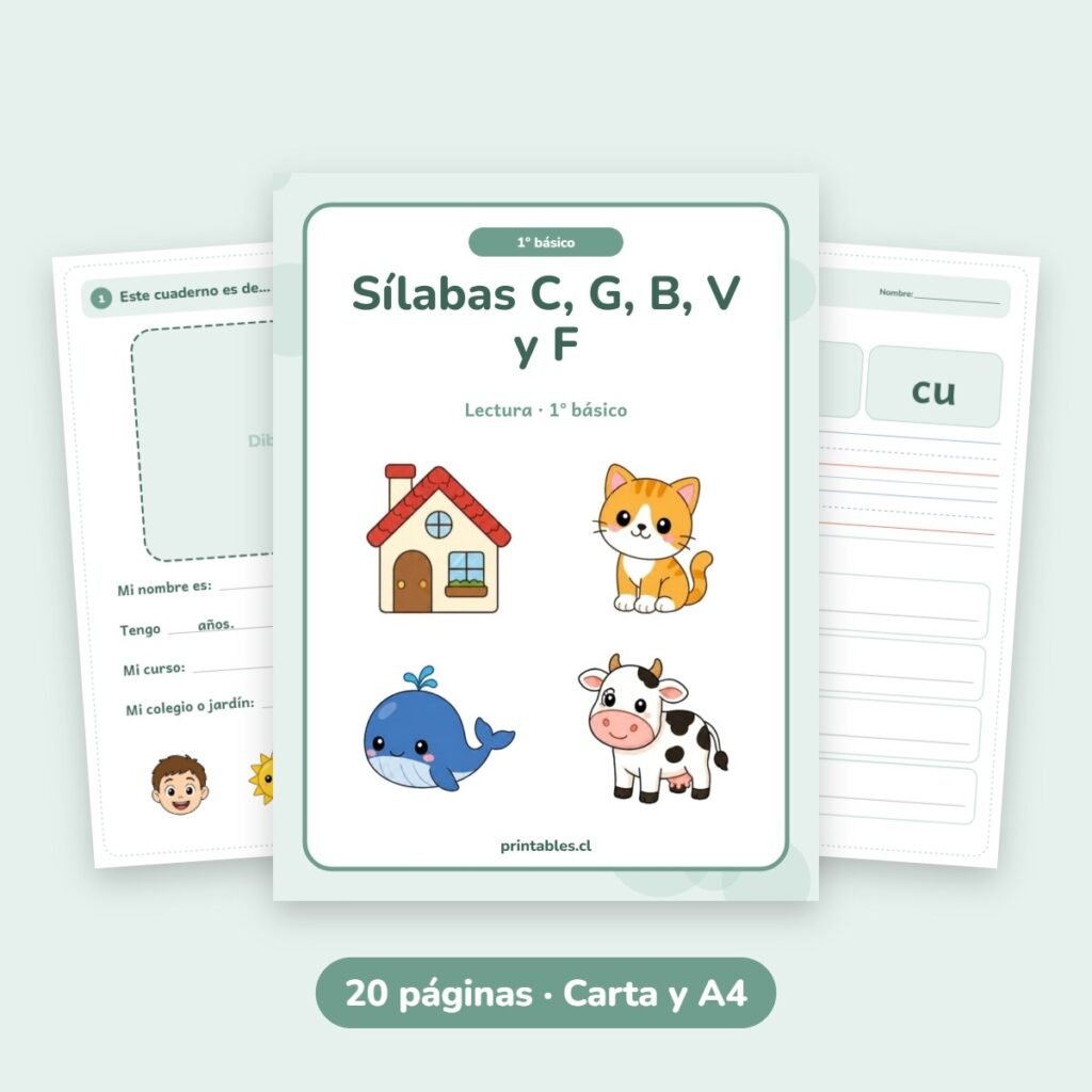 Cuaderno 1° básico: Sílabas C, G, B, V y F